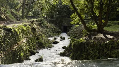 Panorama Of Narrow Stream Flowing Into The Forest During Summer In St Stephen, Cornwall. - static