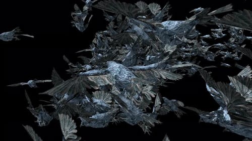 Abstract Stylized Flock of Flying Birds Transition Effect