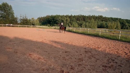 A rider dressed in professional equipment practices a gallop on his beautiful horse in an outdoor