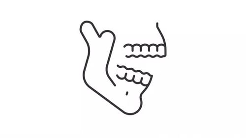 Animated jaw bones line icon