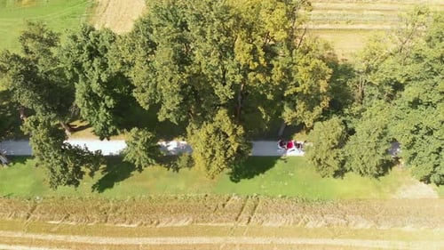 Schöne Aussicht auf die Kutsche auf der Landstraße zusammen mit Bäumen und Landschaft