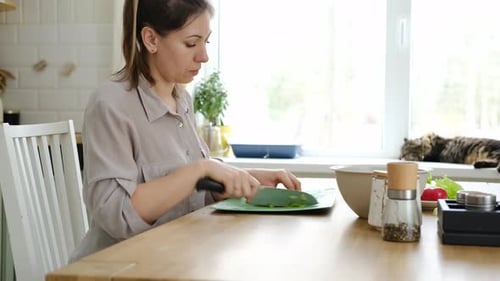 Close Up of a Woman Chopping Vegetables in a Kitchen Female Hands Cutting Tomato Carrot on the Board
