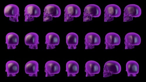 Purple Metallic Skull Array Rotation Loop