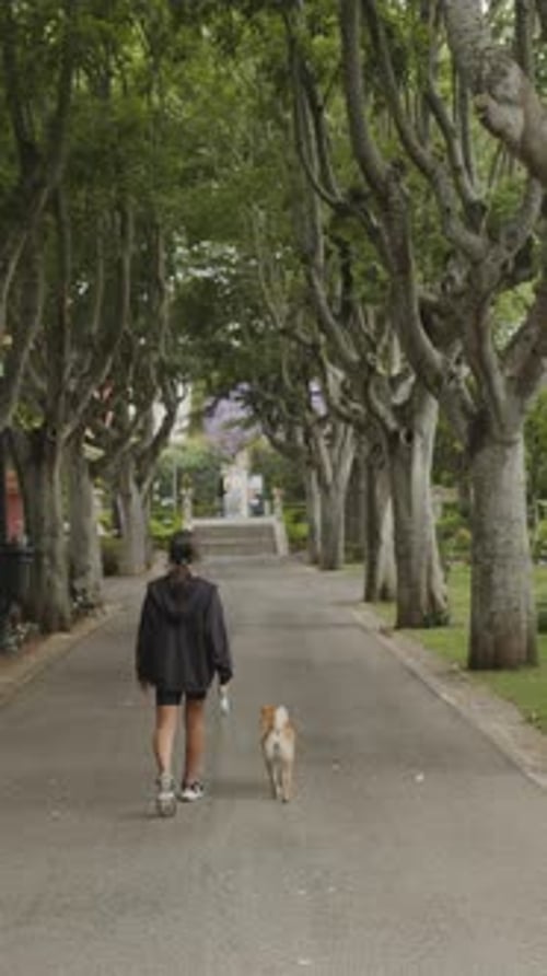 Teenage girl walks in a park along a path with a Shiba Inu dog. Vertical video