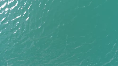 Turquoise Water in a Mountain Forest Lake with Pine Trees