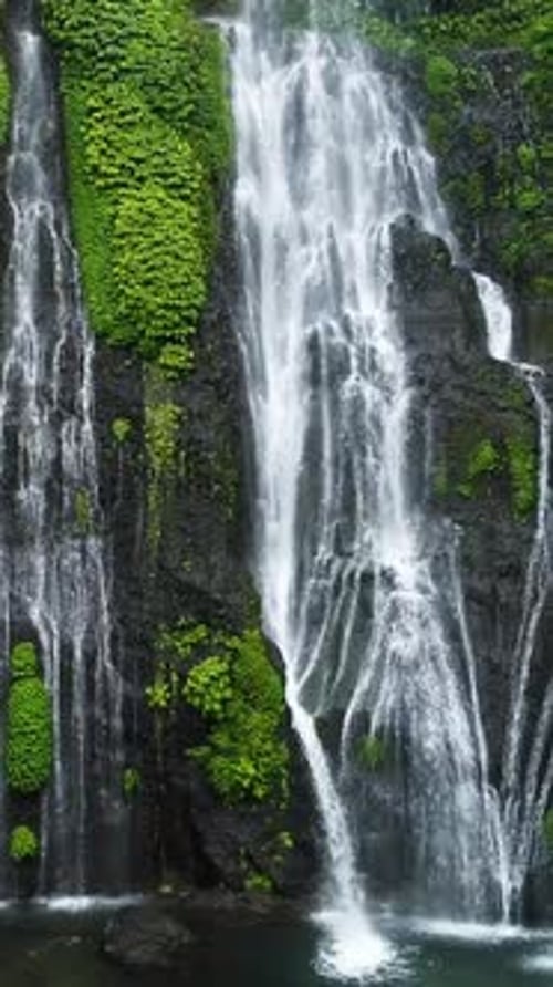 Cascade dans une verticale de feuilles tropicales