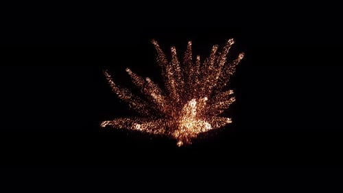 Dynamic Abstract Particle Burst Reveal