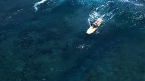 Surfer Woman Swim on Surfboard in Blue Ocean with Crashing Ocean Wave Drone View