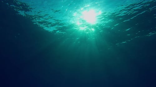 Lumière du jour pénétrant sous la surface bleue de l'eau pendant une période calme et en contre-jour