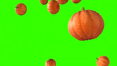 pumpkin rain on green background