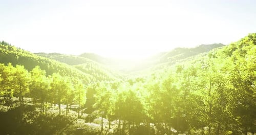Paysage verdoyant sous un soleil éclatant avec des montagnes au loin