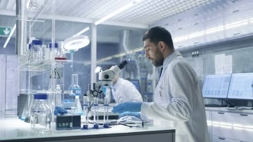Two Scientists Working in Modern Medical Laboratory