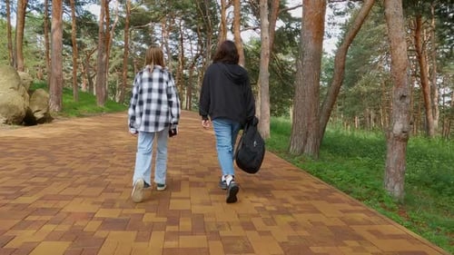 Frühlingsspaziergang Zwei Freunde gehen zusammen in einem üppigen Wald spazieren