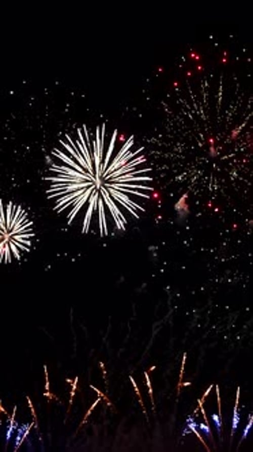 Brilliant Fireworks Exploding in the Night Sky