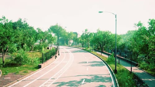 Asphalt Road and Green Trees in Park