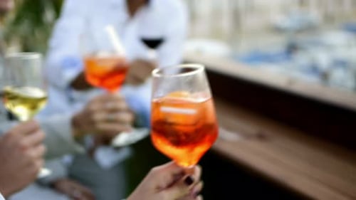 Friends toast cheers drinking glasses at social party event smiling on terrace cheerful