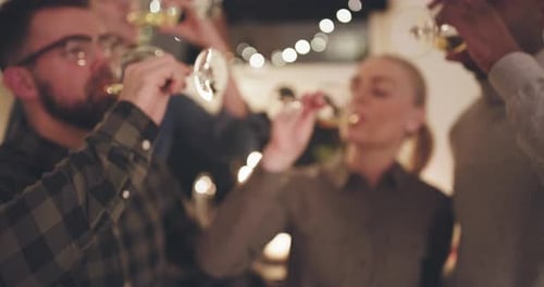 Diverse Group of Friends Making a Toast Together with Glasses of Wine