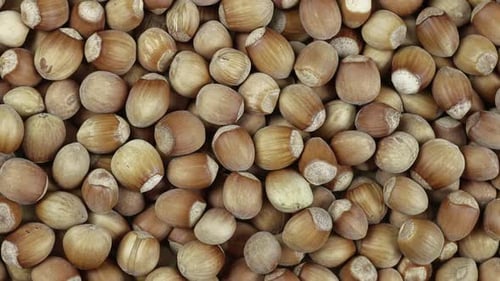 Close Up Of Rotating Hazelnut In Shell From Above.