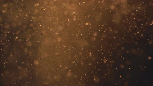 Super Slow Motion Macro Shot of Makeup Golden Face Powder Explosion Beauty Makeup Glitter Flying in
