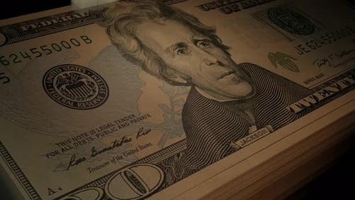 Rapid Counting of US Twenty Dollar Bills Animation