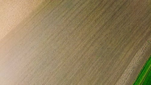 Aerial View of Freshly Harvested Field with Parallel Crop Rows