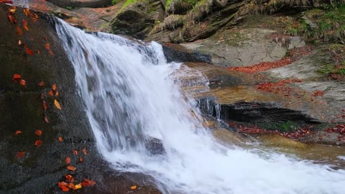 Beautiful wild river cascading over stones with colorful fallen leaves in a tranquil autumn forest.