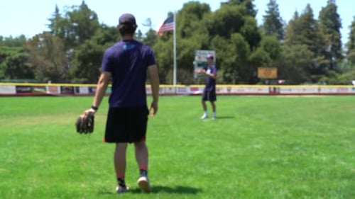 People Practicing Baseball on a Sunny Day