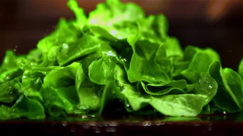Vibrant Green Lettuce Leaves Falling in Slow Motion