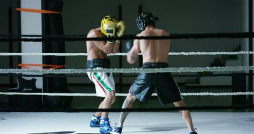 Professioneller junger Boxer im Ring, wird die Technik der Schläge, der Verstrebungen und des Schutzes üben