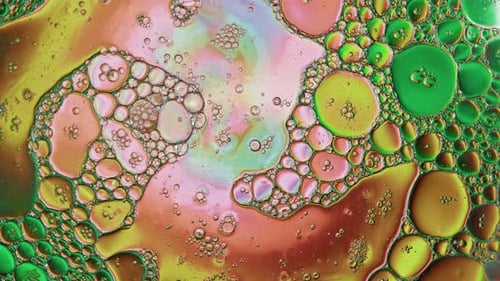 Abstract Colorful And Shiny Oil Bubbles Circles Background 21