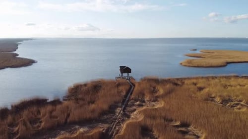 Imágenes de un Zumbido del Observatorio de Aves Kiekkaaste en los Países Bajos en el Mar de Wadden