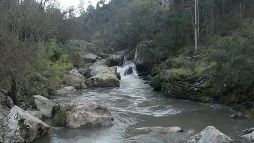 Slow motion shot of water rapids in the middle of a forest.