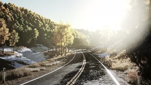 Aerial View of Curvy Road in Beautiful Autumn Forest