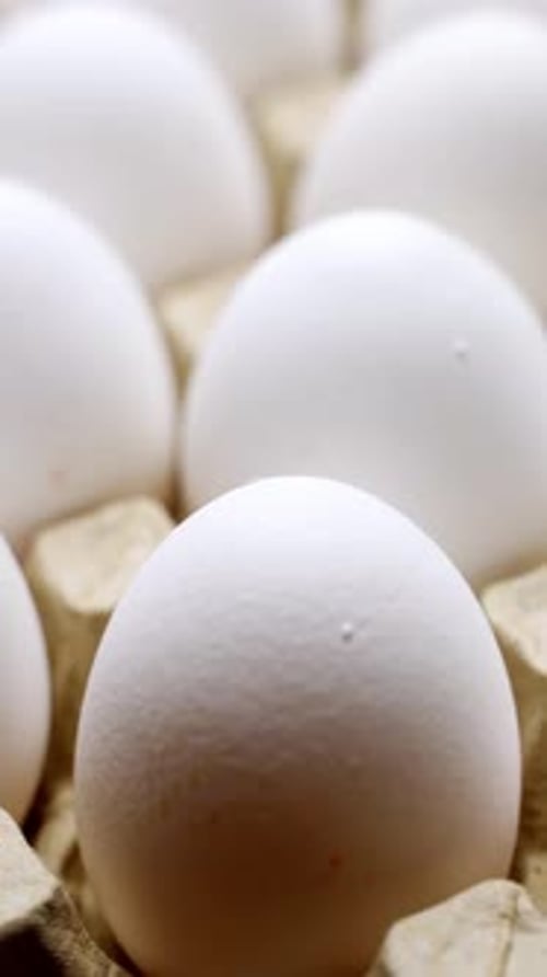 Eggs in a cardboard box from chicken farm Vertical video