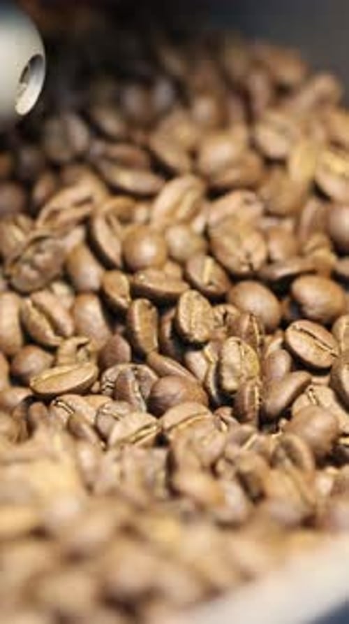 Roasted Coffee Beans being Stirred in Machine