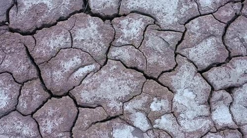 Dry Cracked Soil in the Desert