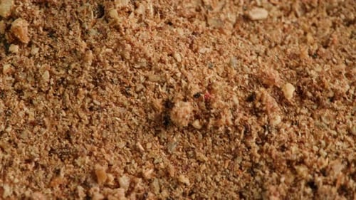 Dried Garlic Spice Closeup Macro Health Spices Addictive for Food and Drinks Garlic Vegetable Plant
