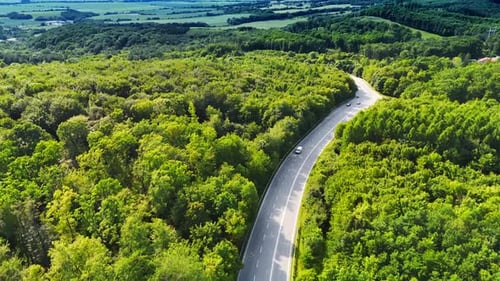Winding road in lush forest. Cars travel along a winding road surrounded