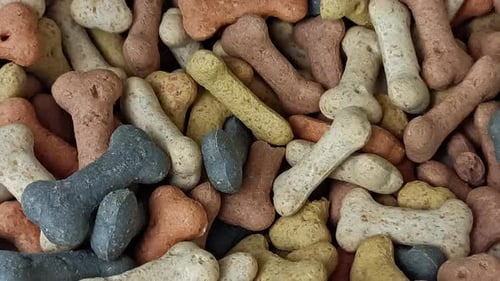 Dog Biscuits