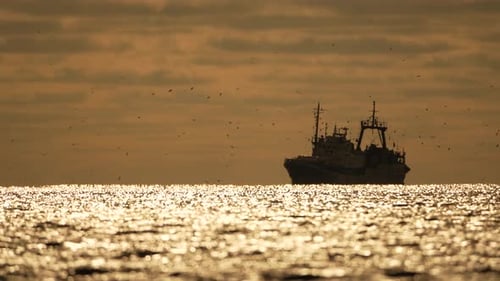 Abstract Sea Ocean Sunset Nature Background with Seagulls and Fishing Boat Trawler Catches Fish