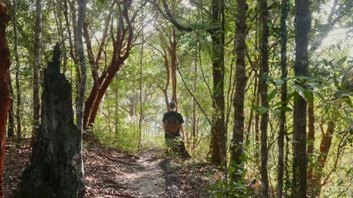 Man with Backpack Trekking Through Dense Forest on Narrow Path