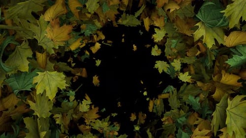 Dynamic Full Screen Animated Autumn Leaves Transition From The Edges Than Blown Away