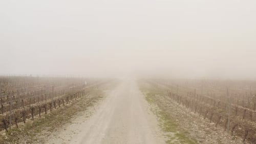 Countryside Landscape with a Rural Road and a Fog Above Farm Fields