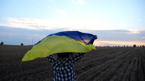 Ukrainian Lady Jogging with National Blueyellow Banner on Barley Meadow at Sunrise Woman Running