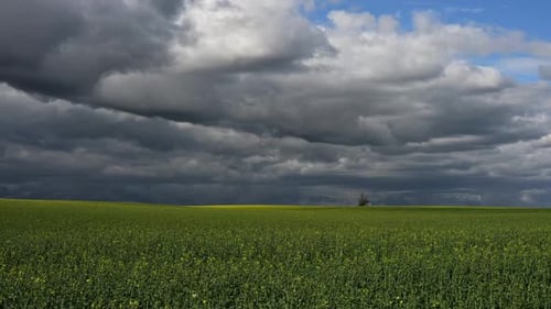 Time lapse video of storm clouds over a wide, green agricultural field. The light highlights patches