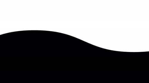 Fluid Wavy White Transition Animation