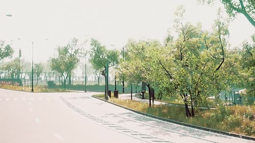 Foto da estrada que atravessa o meio da floresta