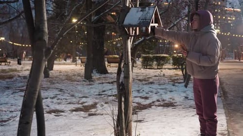 Lady Feeding Birds in Winter Park with Snowy Path and Illuminated Lights
