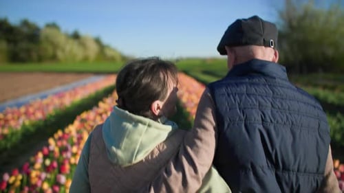 Couple Pension Walks Along Flower Beds in the Middle of Flower Fields