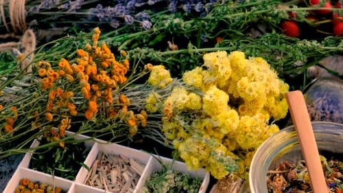Dried Flowers and Herbs Tea and Alternative Medicine Selective Focus